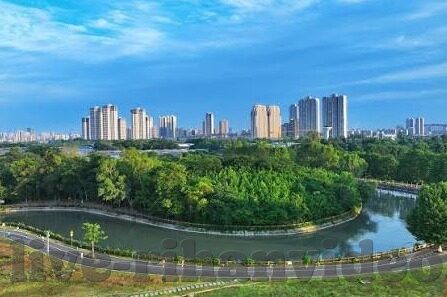 国产麻豆91-浅谈国产麻豆91的崛起与影响